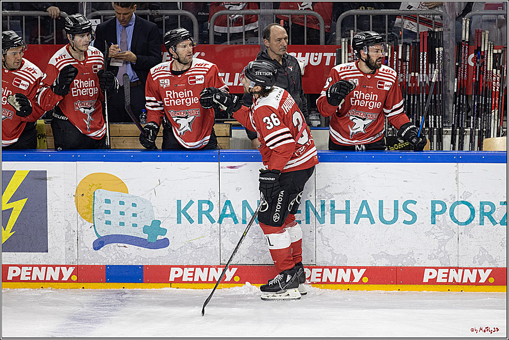 PENNY DEL;  Koelner Haie - Duesseldorfer EG; Koeln, 02.01.2023
